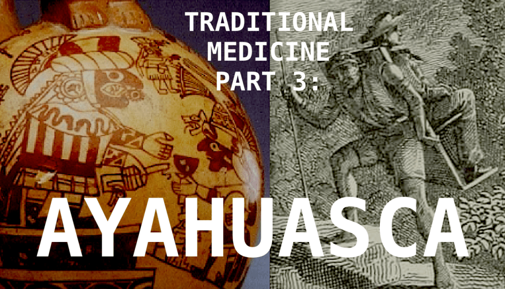 Traditional Medicine Part 3: Ayahuasca