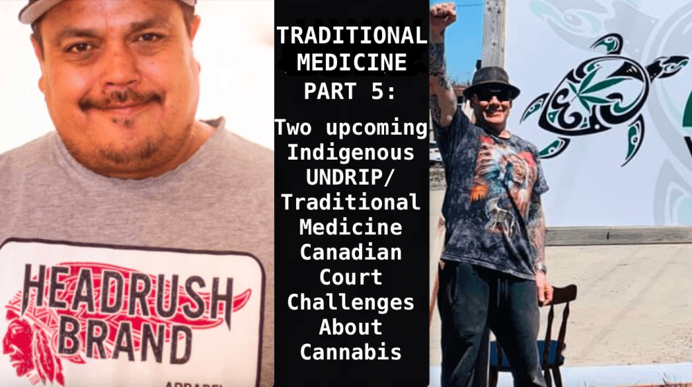 Traditional Medicine Part 5: Two Indigenous Canadian Court Challenges About Cannabis