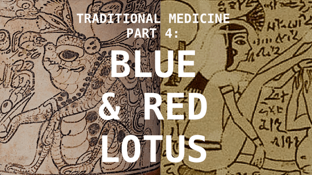 Traditional Medicine Part 4: Blue Lotus & Red Lotus