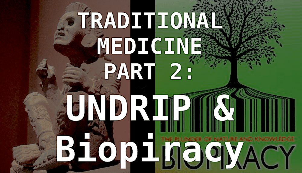 Traditional Medicine Part 2: UNDRIP and Biopiracy