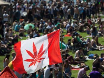 flag-a-marijuana-flag-flaps-in-the-wind-above-the-crowd-at-t