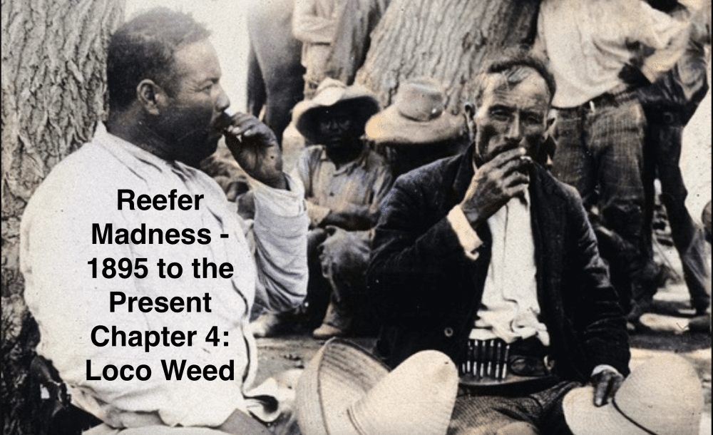 Reefer Madness – 1895 to the Present – Chapter 4: 1910 to 1920 – Loco Weed