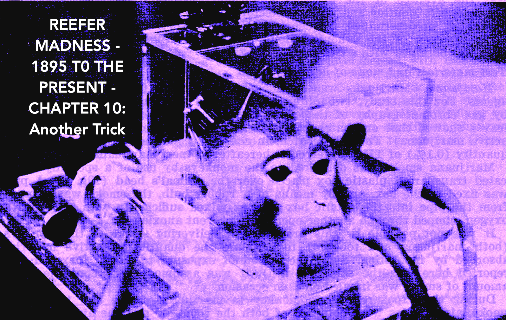 Reefer Madness – 1895 to the Present – Chapter 10: 1970-1980 – Another Trick