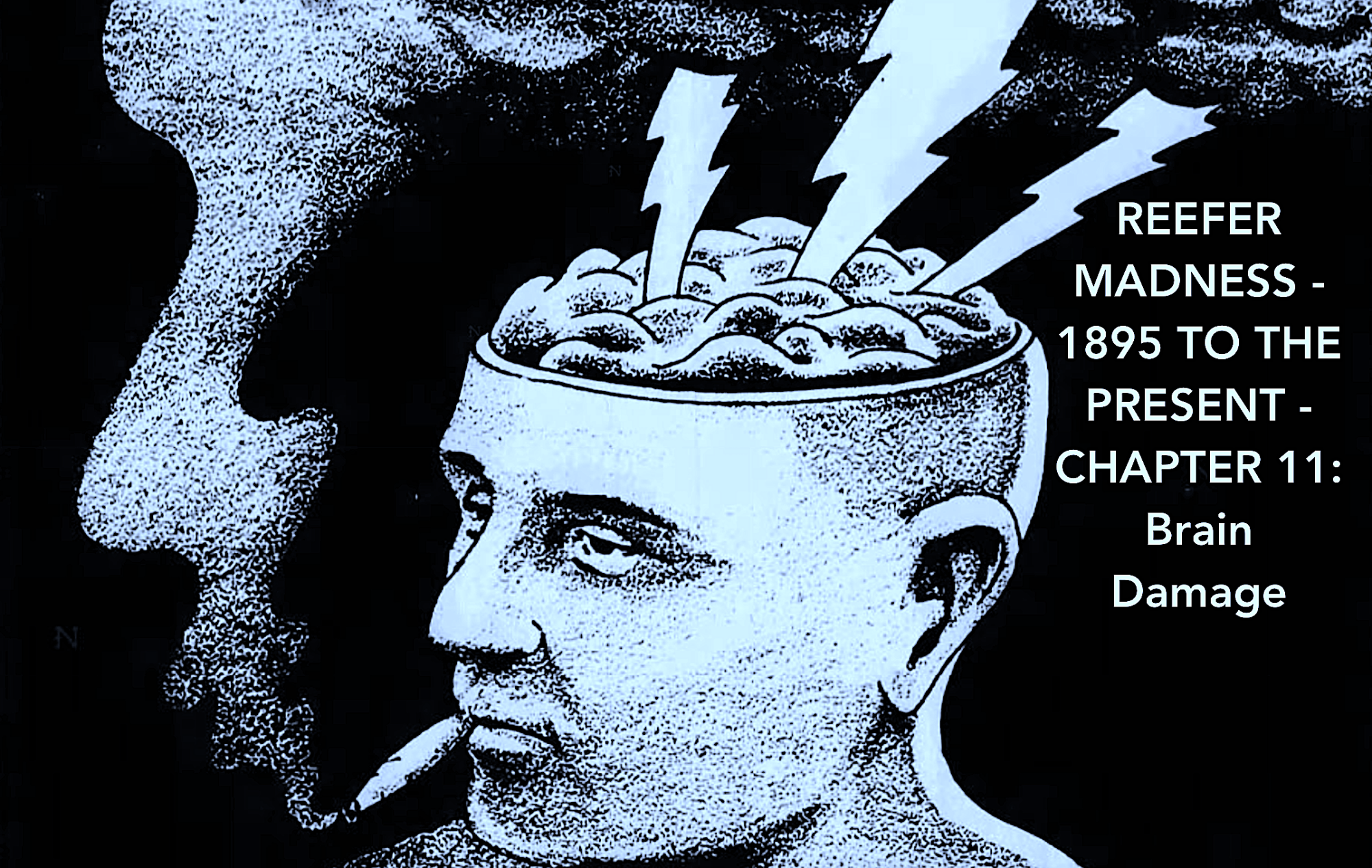 Reefer Madness – 1895 to the Present – Chapter 11: 1980-1990 – Brain Damage