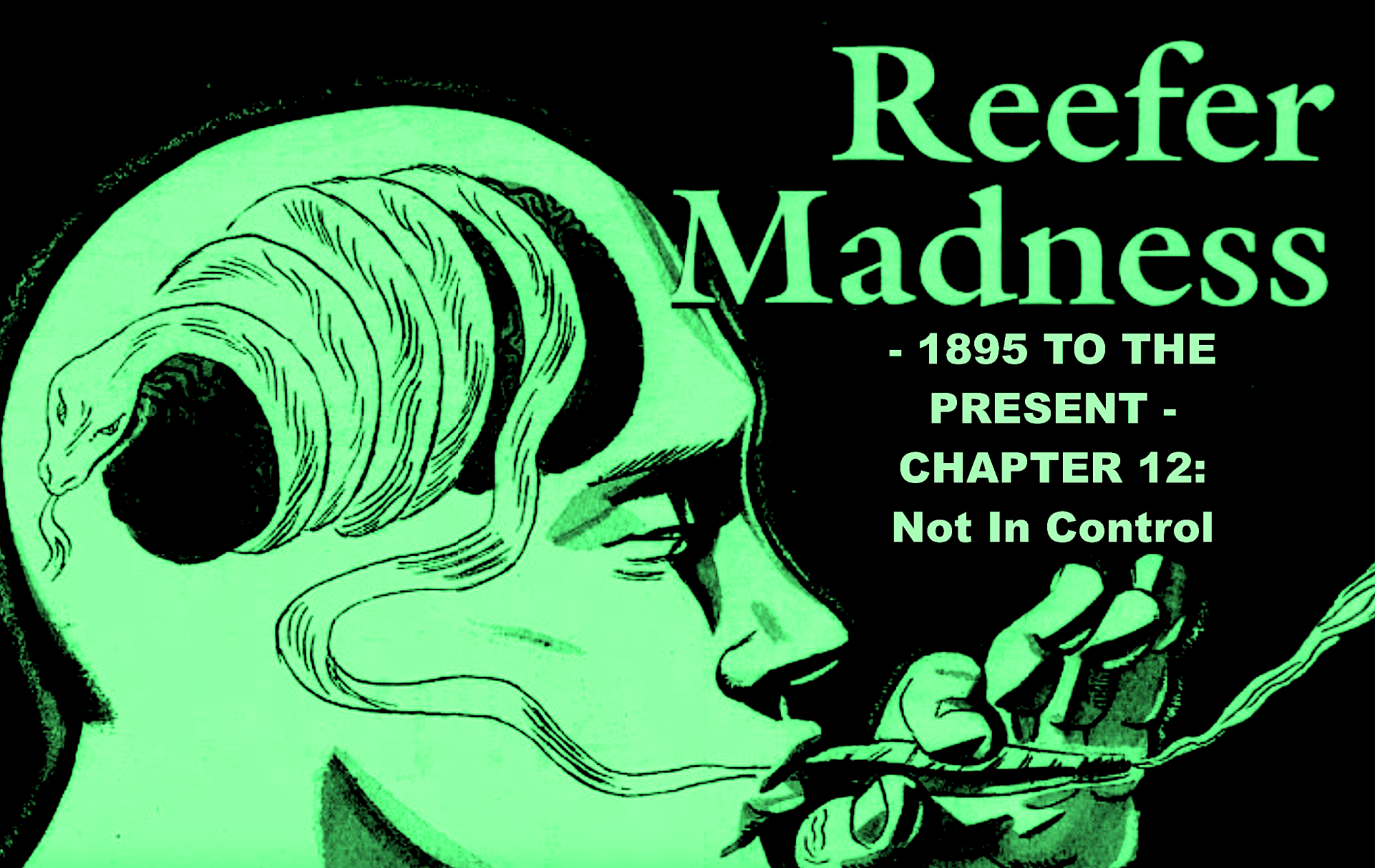 Reefer Madness – 1895 to the Present – Chapter 12: 1990 to 1997 – Not In Control