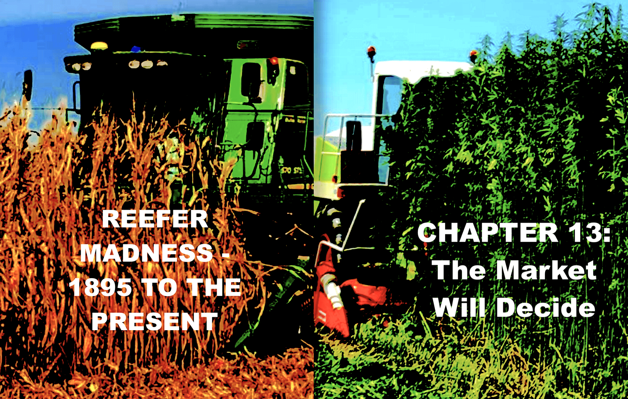 Reefer Madness – 1895 to the Present – Chapter 13: 1994 to 2000 – The Market Will Decide
