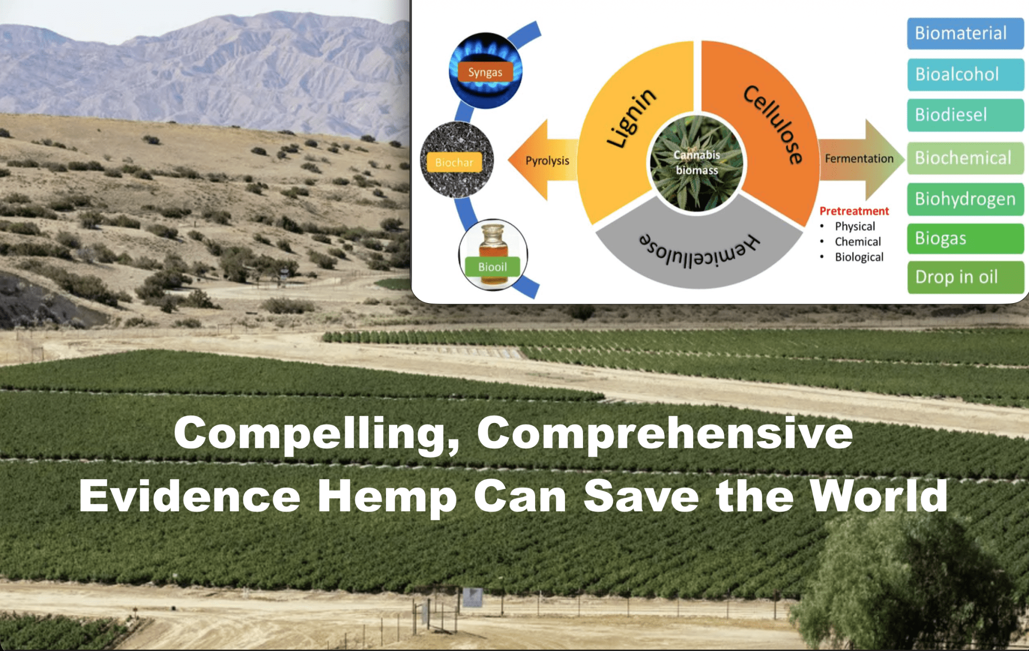 Compelling, Comprehensive Evidence Hemp Can Save the World